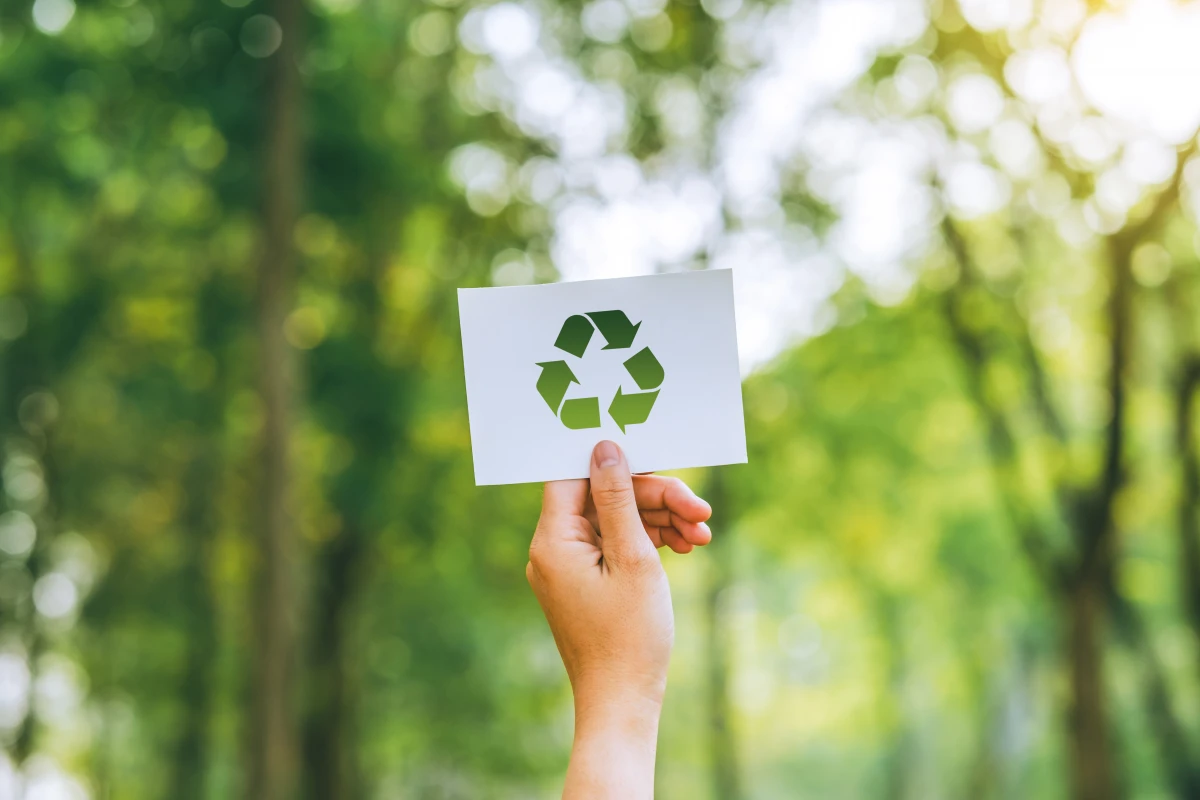 Labels écologiques : Entre promesses vertes et réalité du marché