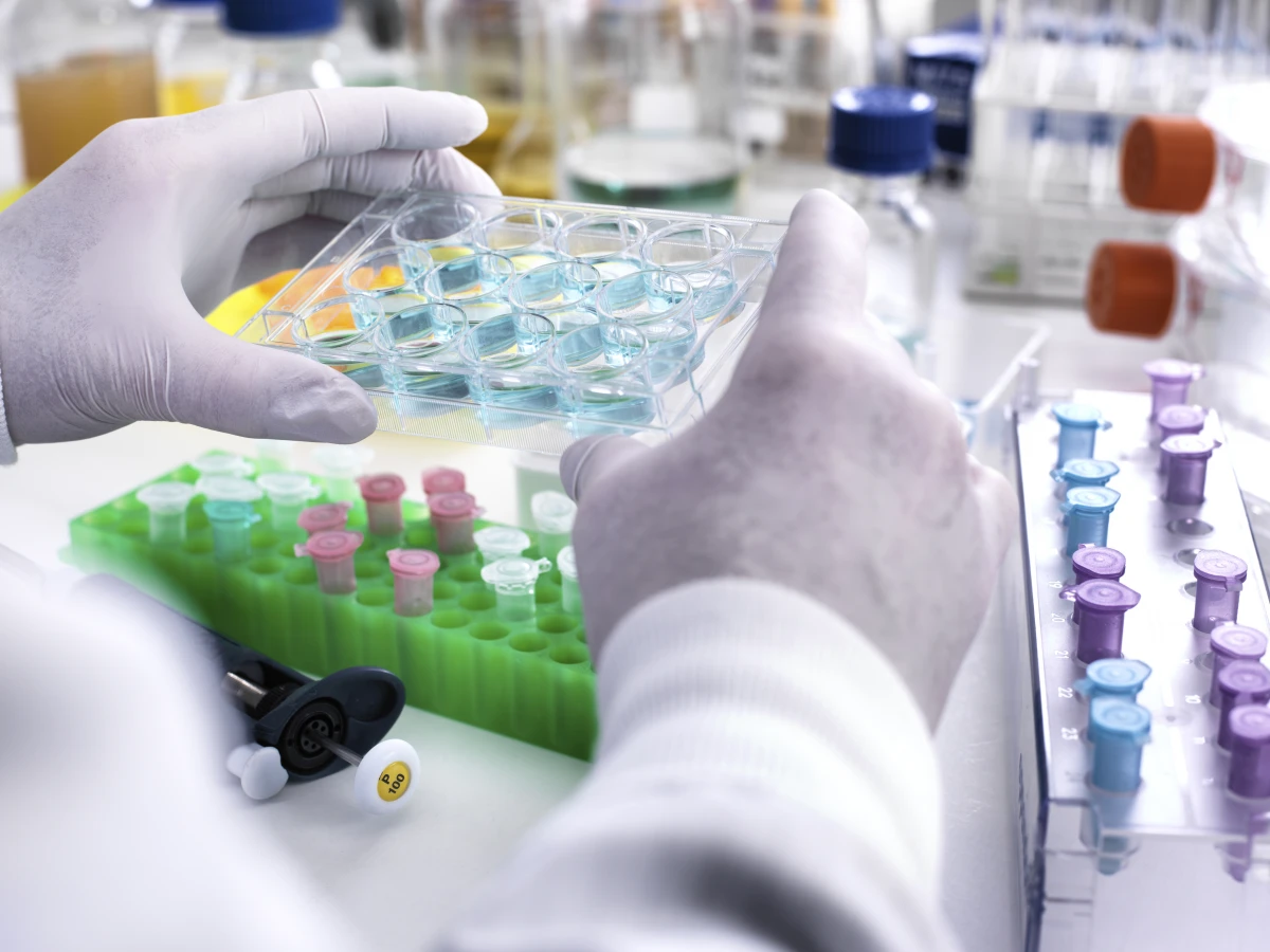 Les biotechnologies agricoles : révolution verte ou menace pour notre alimentation ?