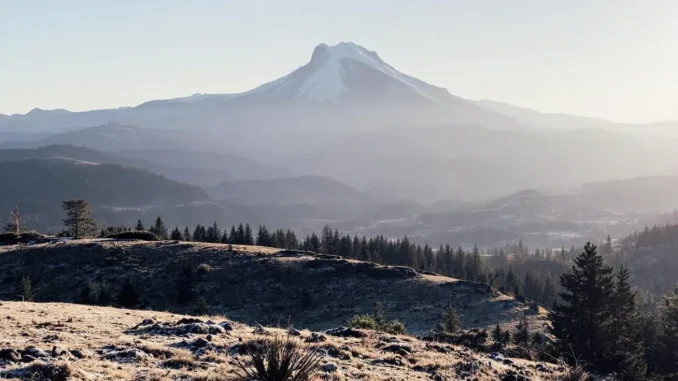 la-responsabilite-ci